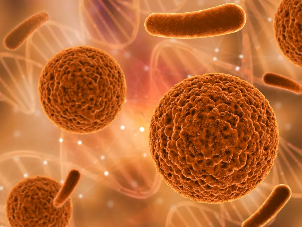 Xlamidiya infeksiyası nədir? Xlamidiya müalicəsi